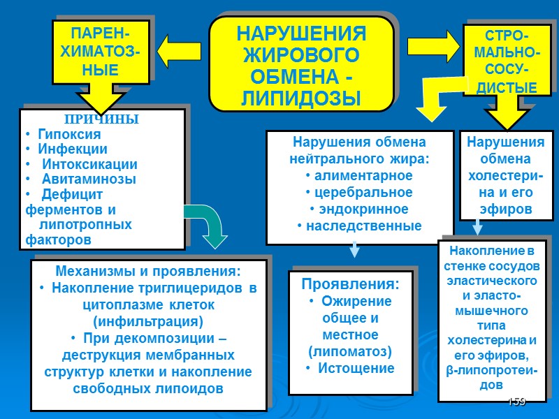 08:12:02 НАРУШЕНИЯ ЖИРОВОГО ОБМЕНА - ЛИПИДОЗЫ ПРИЧИНЫ   Гипоксия   Инфекции 